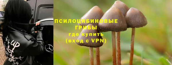 круглые Абаза