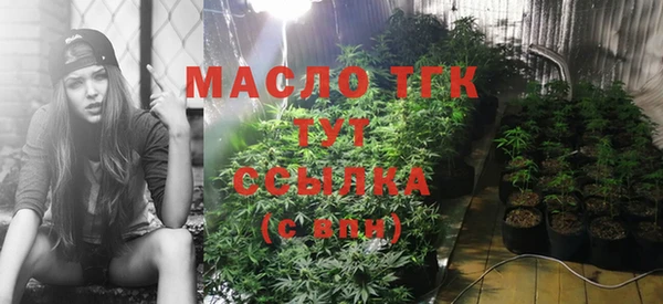 эйфоретик Осинники